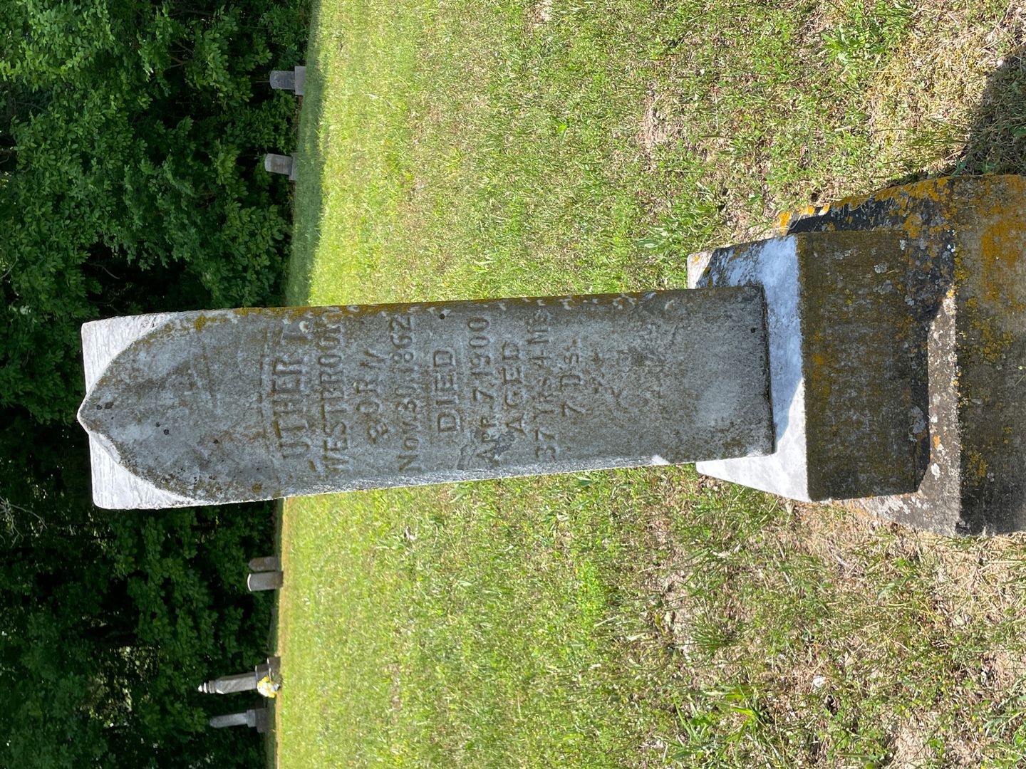 Luther T. Westbrooks's grave. Photo 1